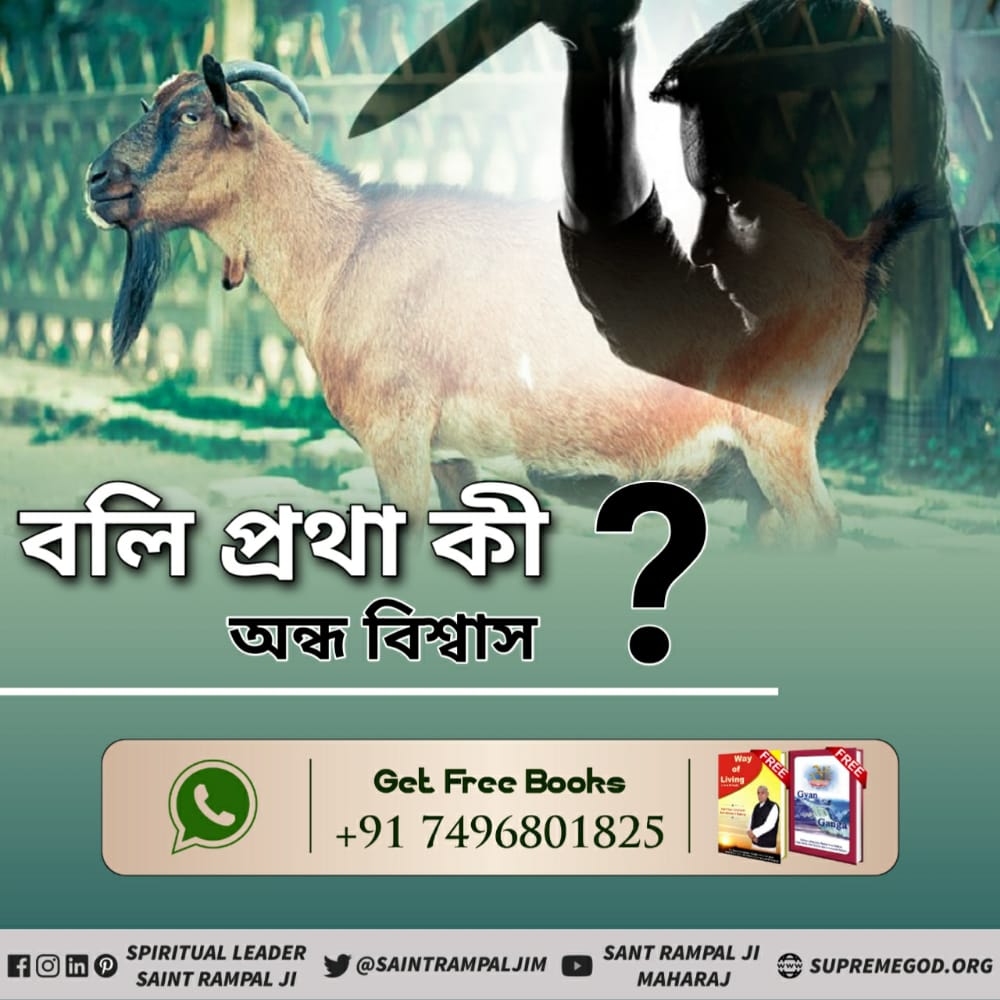 #क्या_आप_जानते_हैं
🌱🌱🌱🌱🌱🌱🌱🌱🌱
প্রতিদিন অবশ্যই দেখুন সন্ত রামপালজী মহারাজের মঙ্গল প্রবচন সুপ্রসিদ্ধ T.V.চ্যানেলের মাধ্যমে
📺📺📺📺📺📺
সাধনা(আধ্যাত্মিক সামাজিক  T.v.চ্যানেল):সন্ধ্যা  7:30 থেকে 8:30

শ্রদ্ধা (MH ONE):দুপুর 2:10 থেকে 3:10