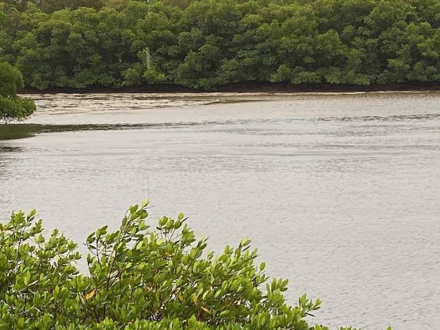 Dean Akers tweet media