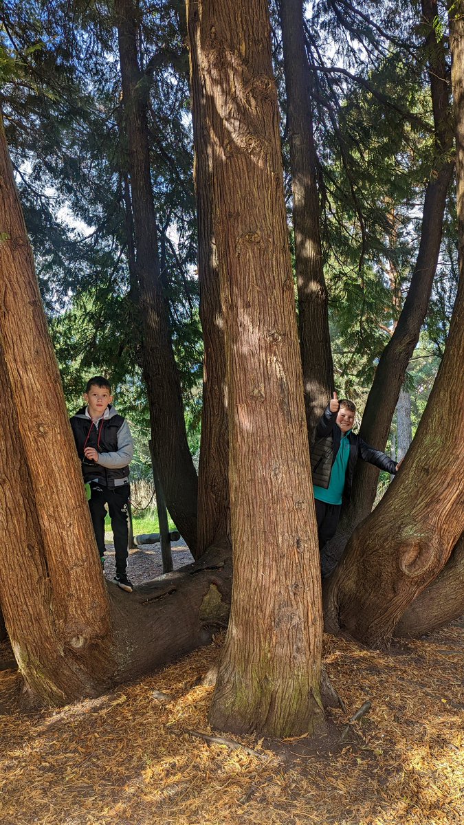 MissKJenkins1's tweet photo. A lovely day for some outdoor learning, great perseverance from the boys @CSCGriffin @wlconnolly and even the chance to practise some acting skills https://t.co/7Xt56h83mn