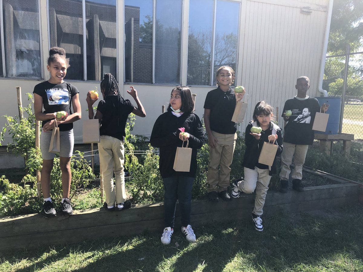 Today we got to take some of our 5th and 6th graders out to pick tomatoes at the MLK garden <a href="/PrincipalPJM/">Medina</a>. Students had so much fun! Tomatoes were placed in paper bags to ripe over the next few days. 🥳 <a href="/Asbury_ParkSD/">Asbury Park Schools</a>