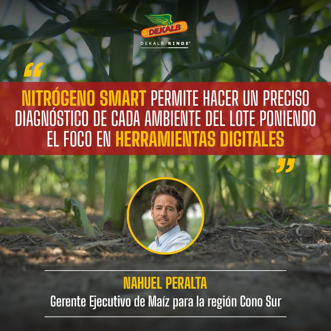 DekalbArgentina's tweet photo. El Gerente Ejecutivo de Maíz para la región Cono Sur, Nahuel Peralta, nos contó sobre #NSmart. ¡Escuchá la nota completa! https://t.co/urmCYSdFKD