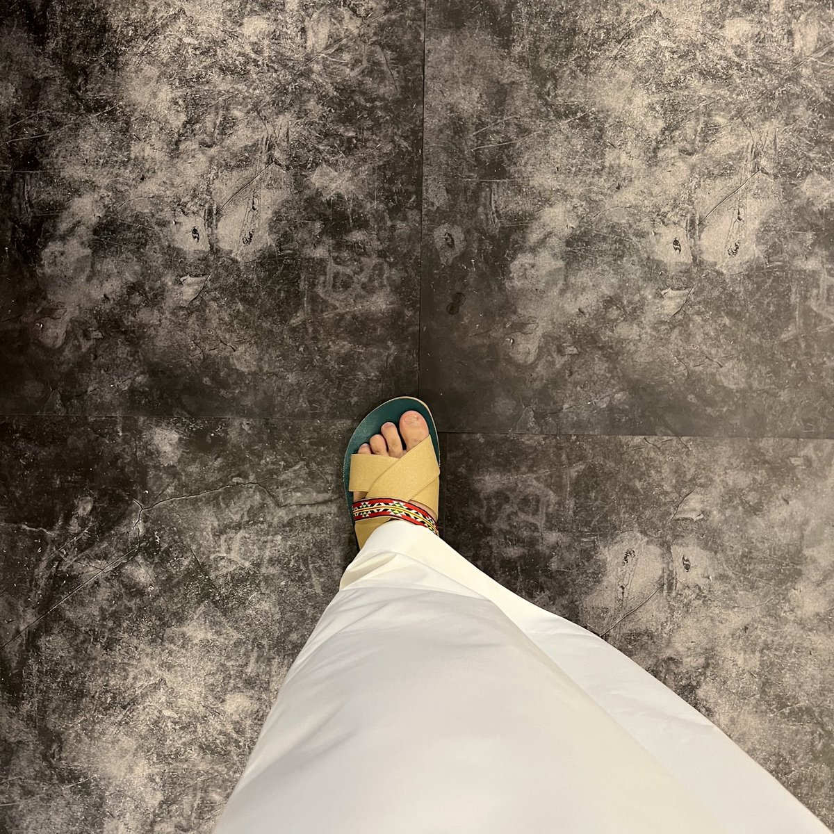 Hedra® هيدرا tweet media