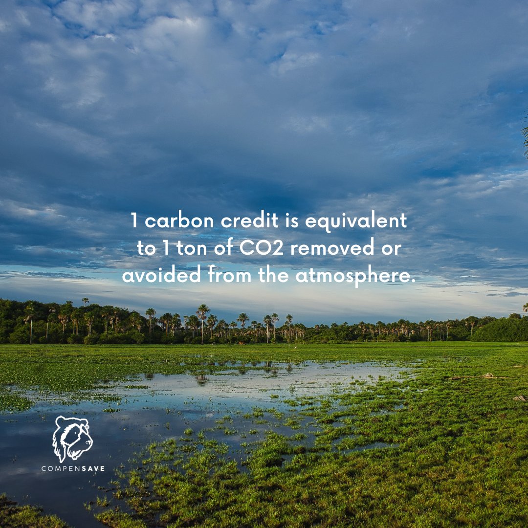 1 carbon credit reduces or avoids 1 ton of carbon dioxide from the atmosphere.  
On average a person emits 6 tons per year of carbon dioxide, emitted from daily activities that produce CO2.
#carbonneutralcompany #climatechange #climetaneutral #carbonneutralbusiness