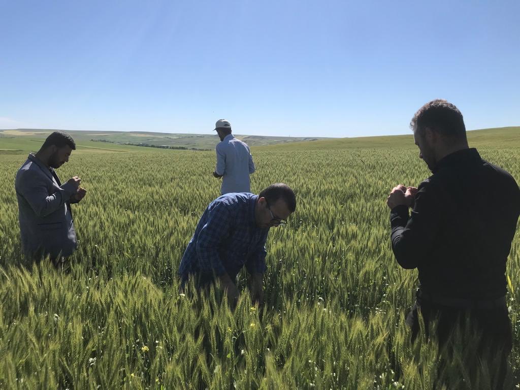 #tarimdanismanlarikadroistiyor 
⁦<a href="/RTErdogan/">Recep Tayyip Erdoğan</a>⁩ 
⁦<a href="/VahitKirisci/">Prof.Dr.Vahit Kirişci</a>⁩