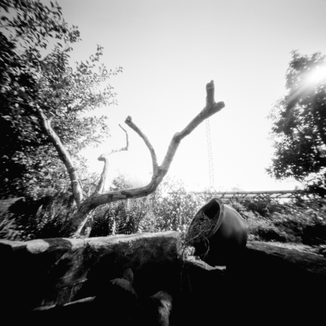 achimanalog's tweet photo. Der Wunschbrunnen
Das SW-Foto habe ich im 2. Bild mit dem Photoshop Neural Filter koloriert. Sieht erstaunlich gut aus, oder?
📷 #RealitySoSubtle 6x6F
🎞 #Fomapan 100
#analogfotografieren #pinhole #pinholephotography #shotonfilm #selfdeveloped #rss6x6f https://t.co/HLJ6nRofpF