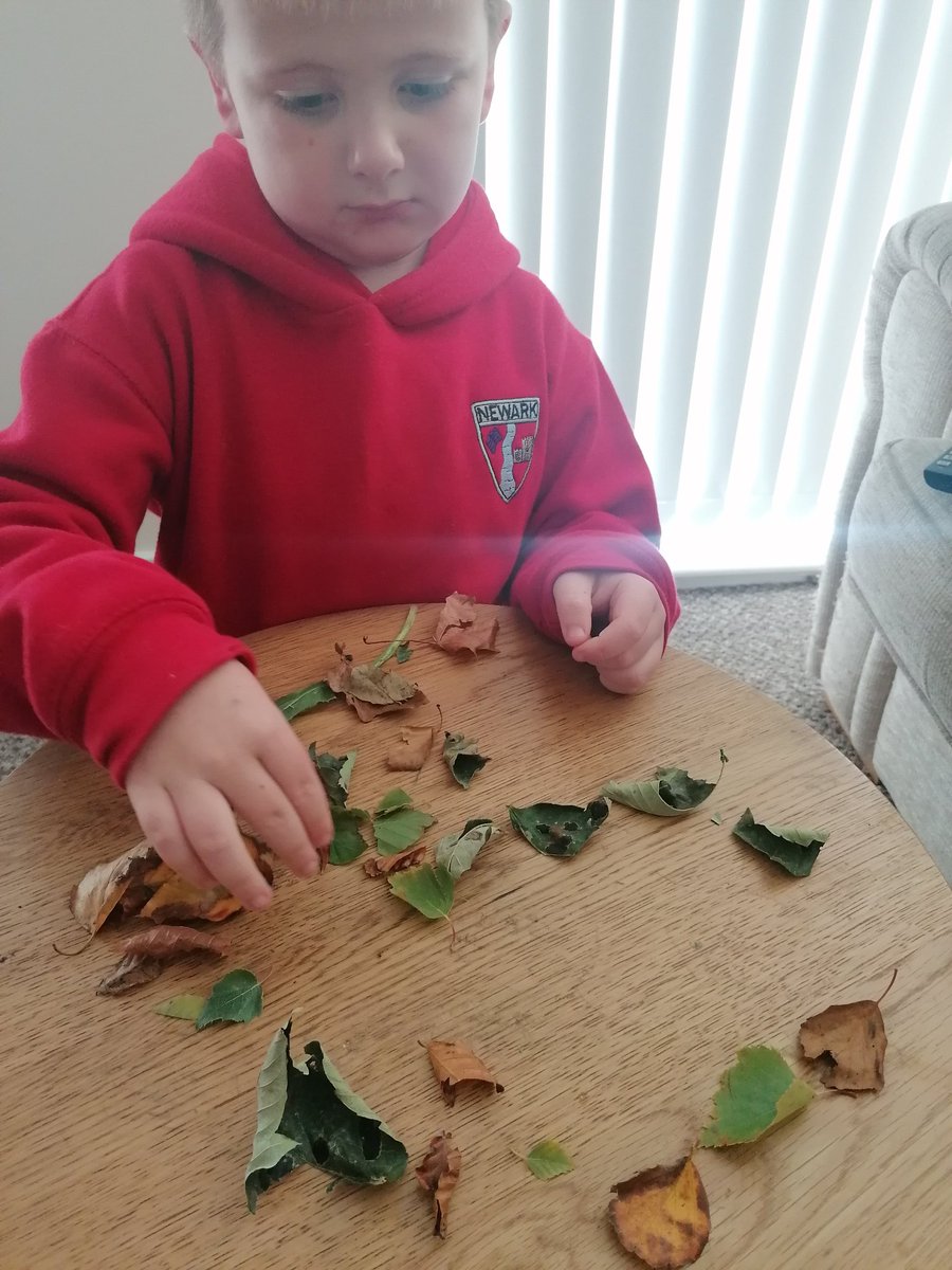 gail_mcmenemy's tweet photo. @MrsMcL_Newark Picked leaves to make his natural picture https://t.co/dTuuw3BNEd