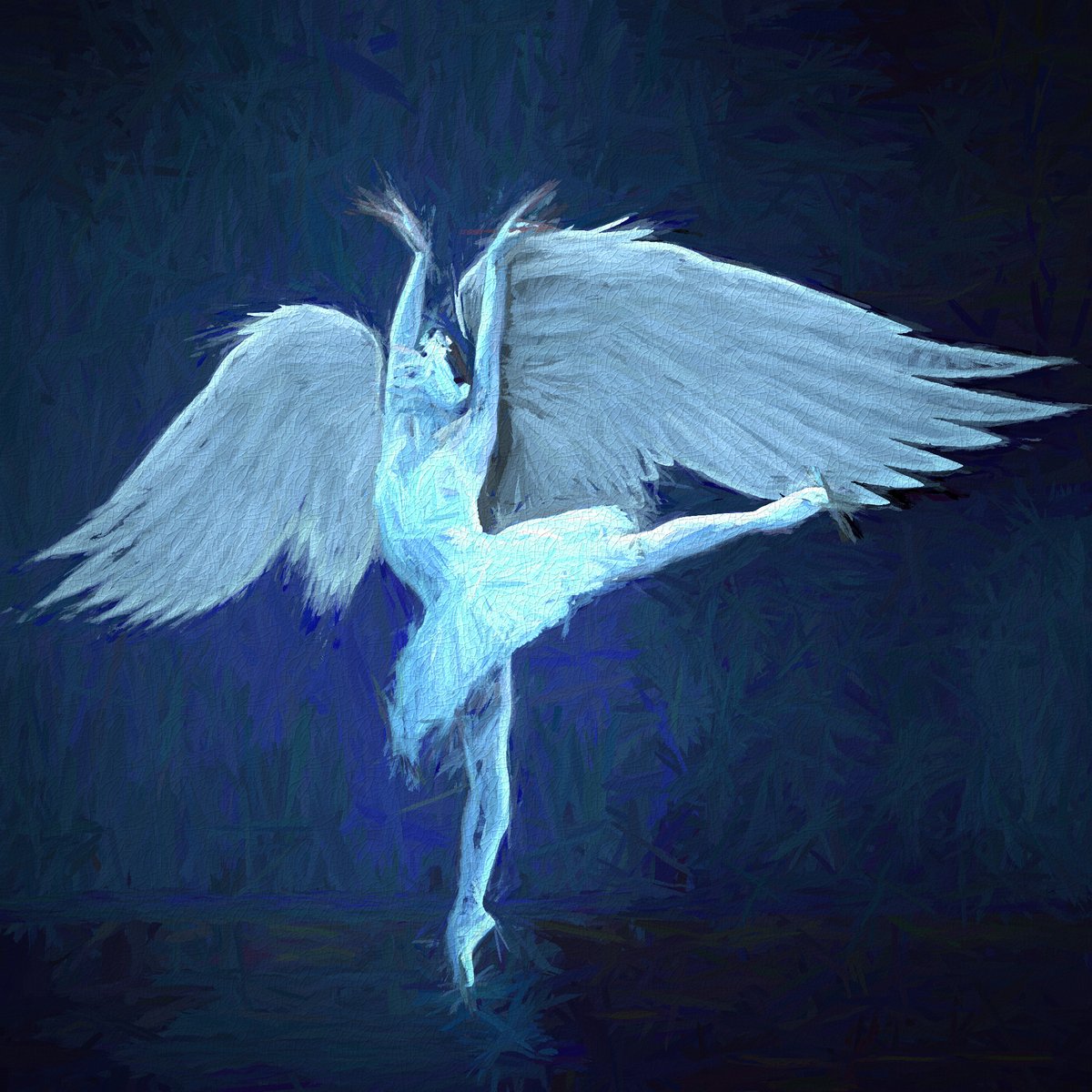 White Swan - #dance #nftcommunity #nfts #nftcollectors #nftcollections