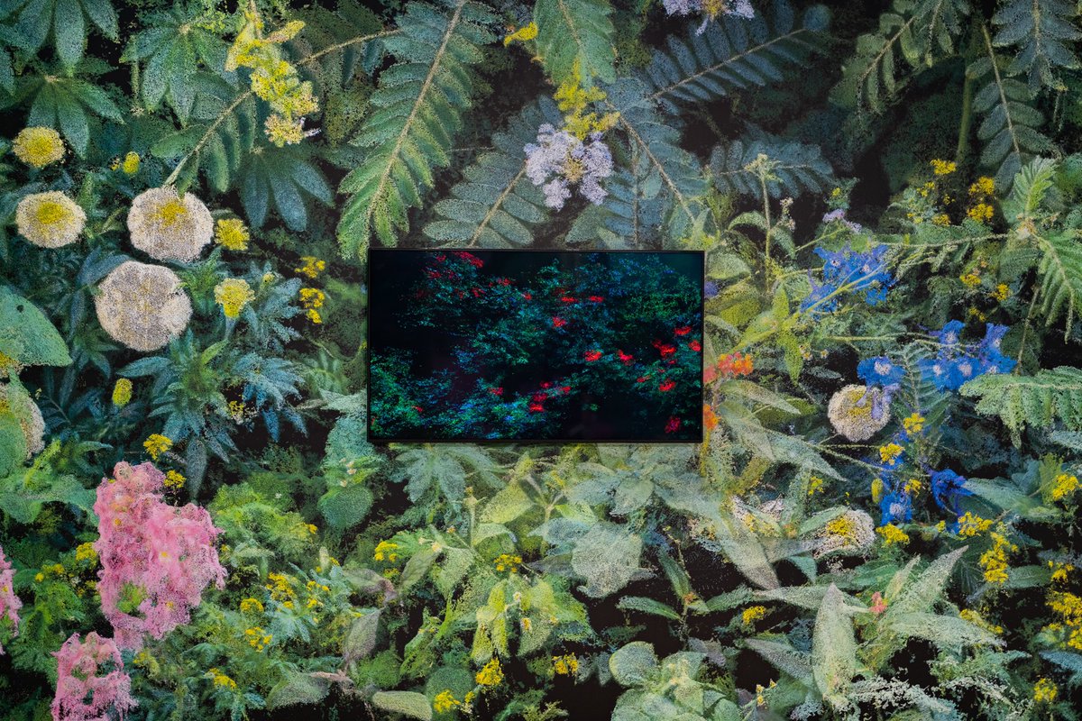 ICYMI <a href="/clmntvalla/">Clement Valla</a> at Istanbul Contemporary 🌱