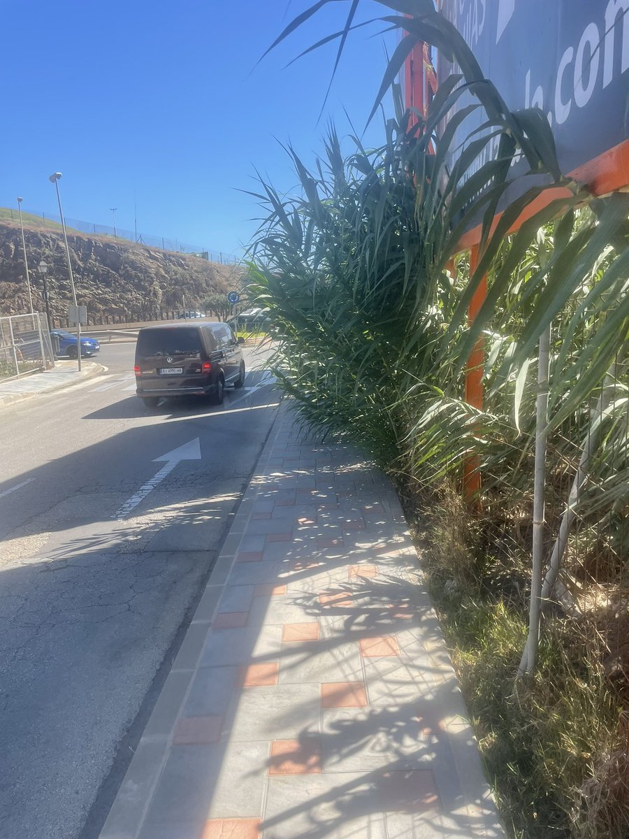 pupigine's tweet photo. @fuengirola ruego retiren plantas de la acera buen saludo. Calle sol villas https://t.co/mXTyL51bwu