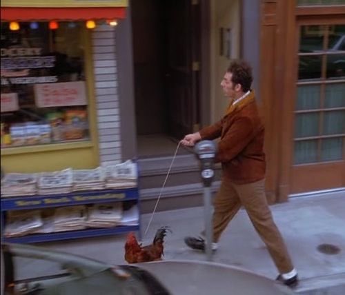casualseinfeld's tweet photo. https://t.co/duCvhuuEKt