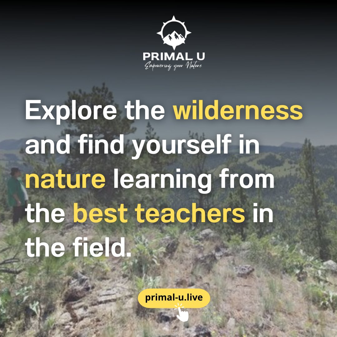 Take an amazing class in sustainability, leadership, mindfulness and survival with 3 of the country's best teachers! 

Explore the wilderness and find yourself in nature learning from the best teachers in the field.

primal-u.live/our-courses

#primalu #wilderness #survival