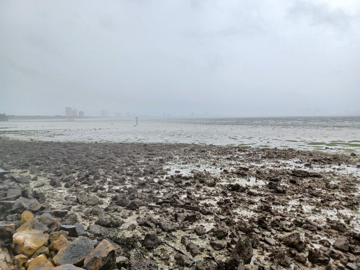 RoadtoFruition's tweet photo. Amazing to see water blown out of the Hillsborough River and from Hillsborough Bay along Bayshore Blvd in #Tampa #Florida because of #HurricaneIan #flwx https://t.co/CmvpCR7aqh