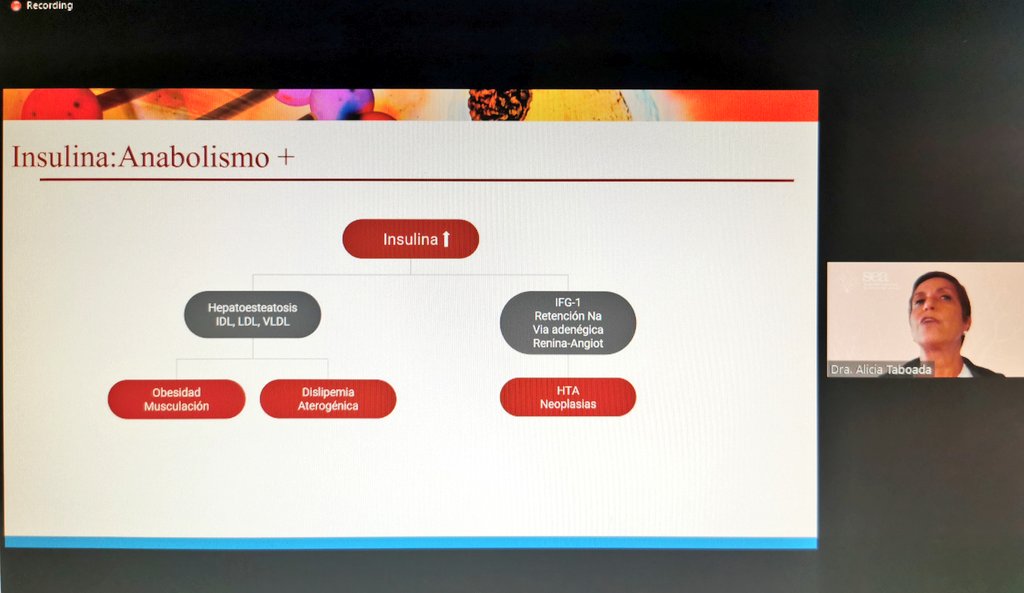 sea_es's tweet photo. Continuamos el #seminarioSEA con la Dra Alícia Taboada @TaboadaDuro

La pérdida de peso corporal puede conducir a la remisión de la #diabetes2, a través de la pérdida de grasa abdominal, especialmente en el hígado y páncreas https://t.co/cWv3DCF5u2