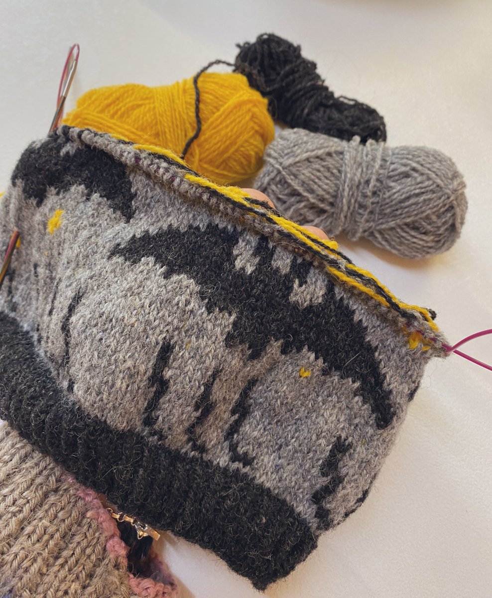 Enor314's tweet photo. Working up a test of my latest knitting chart design - this one is for a colleague who does a lot of bat work! #bat #ecologist #knittingpattern #bathat #knitting https://t.co/qGC8dK1UH0