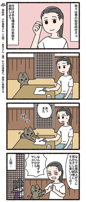 悪の秘密結社ネコ その149
#悪の秘密結社ネコ 
