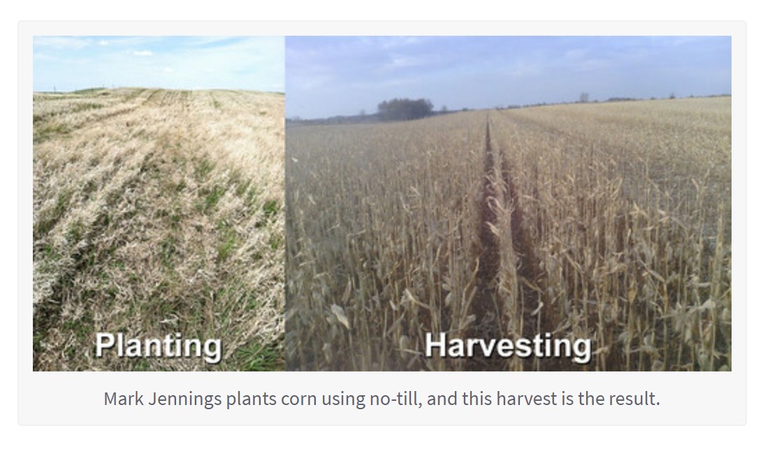 “I’m working towards sustainability by copying Mother Nature, and Mother Nature doesn’t till.” bit.ly/3xG4Mth #soilhealth