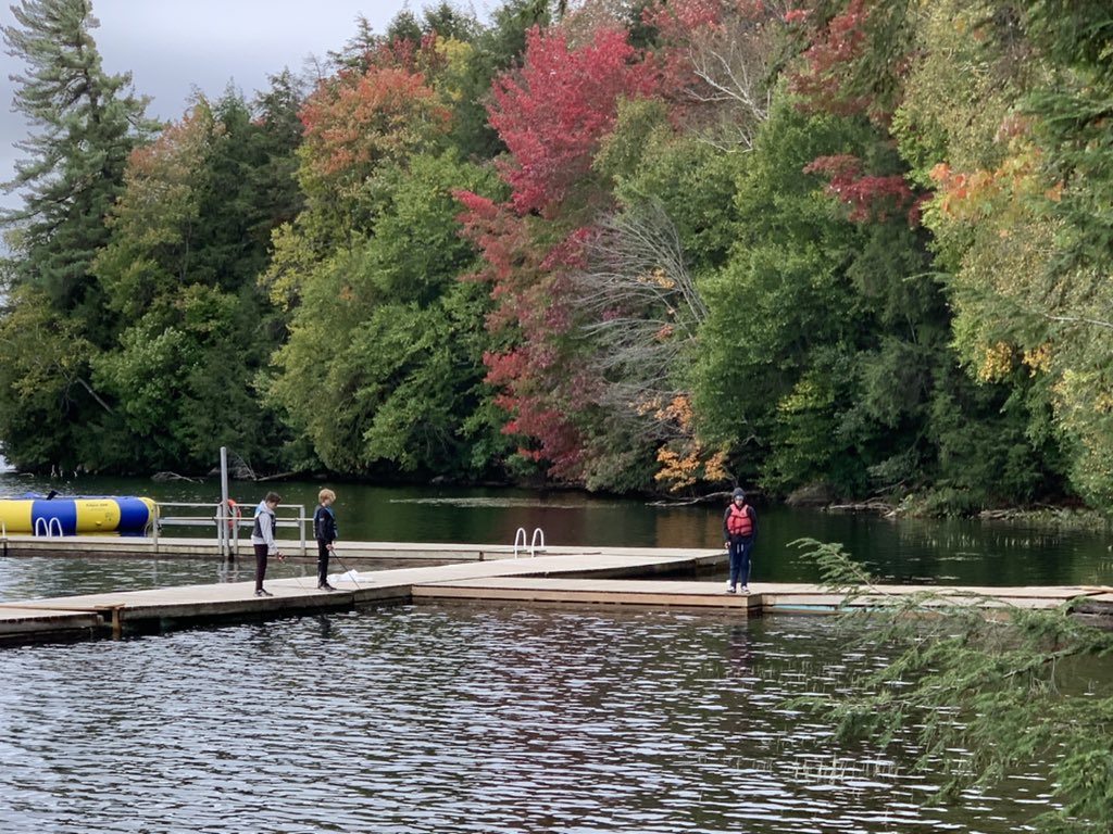 Mme Aversa tweet media