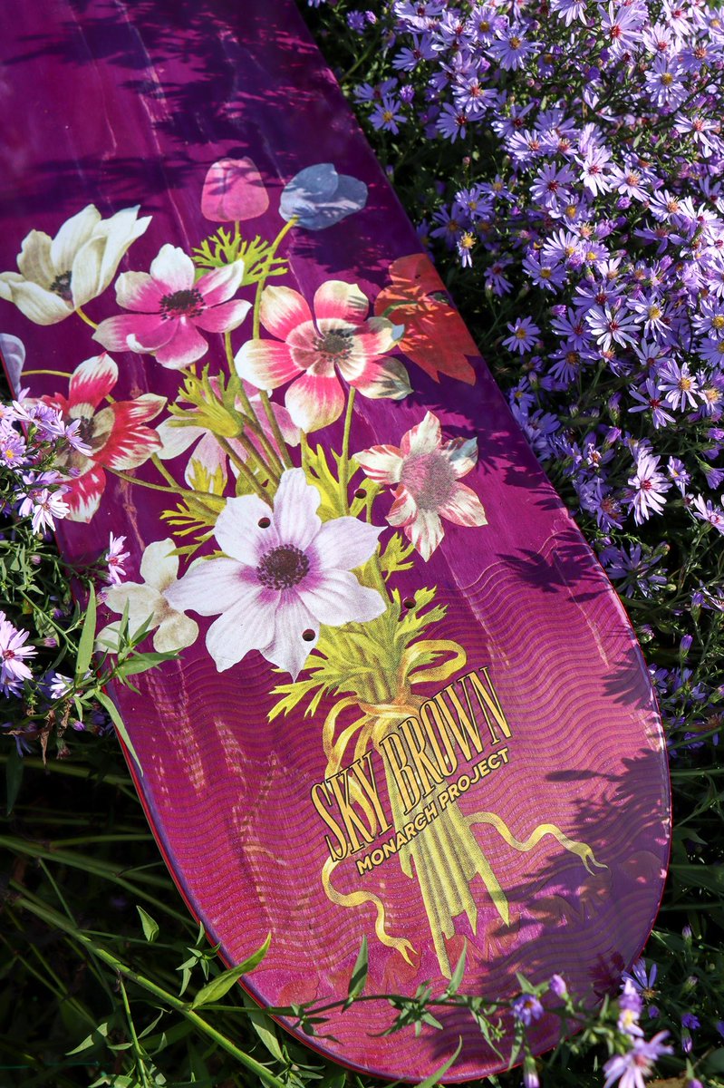 DougGrigg's tweet photo. Would really appreciate a tweet, like or follow if you like any of my photos! 🤟🏻 it’s damn hard getting a biz off the ground 🖤

#xgames #skybrown #productphoto #girlskater #skategirl #skatetwitter #skater #deck https://t.co/8JgESU0j5u