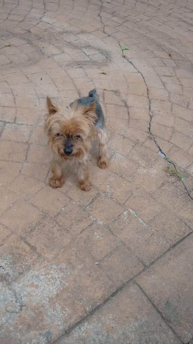 Hasta siempre Totti,pequeño guerrero.