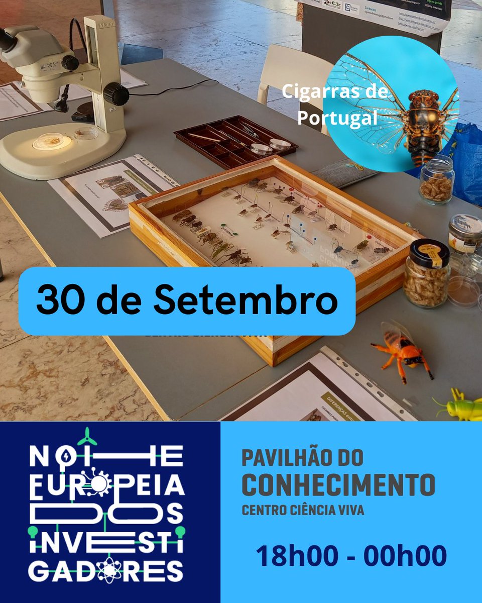 CigarrasP's tweet photo. Sexta estaremos na Noite Europeia dos Investigadores. Venha ver as cigarras na nossa banca no Pavilhão do Conhecimento, em Lisboa. https://t.co/MEEyBUyuE0