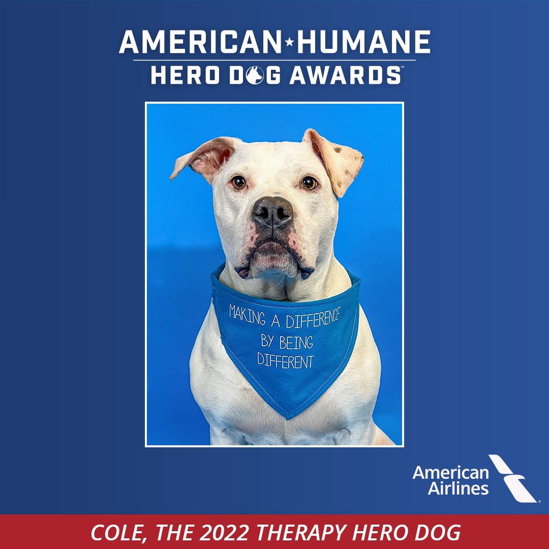 Hero Dog Awards (@herodogawards) on Twitter photo HERO DOG SPOTLIGHT! <a href="/ColeDeaf/">Cole the Deaf Dog & Chris Hannah</a>, the 2022 Therapy Hero Dog sponsored by <a href="/AmericanAir/">americanair</a>, is helping people hear his message - a disability is not an inability, it’s a superpower! Learn how Cole is teaching compassion and acceptance: bit.ly/3UEg7E3. #HeroDogAwards HERO DOG SPOTLIGHT! <a href="/ColeDeaf/">Cole the Deaf Dog & Chris Hannah</a>, the 2022 Therapy Hero Dog sponsored by <a href="/AmericanAir/">americanair</a>, is helping people hear his message - a disability is not an inability, it’s a superpower! Learn how Cole is teaching compassion and acceptance: bit.ly/3UEg7E3. #HeroDogAwards