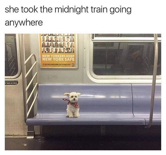 WholesomeMeme's tweet photo. https://t.co/bRnMcYfx2Q