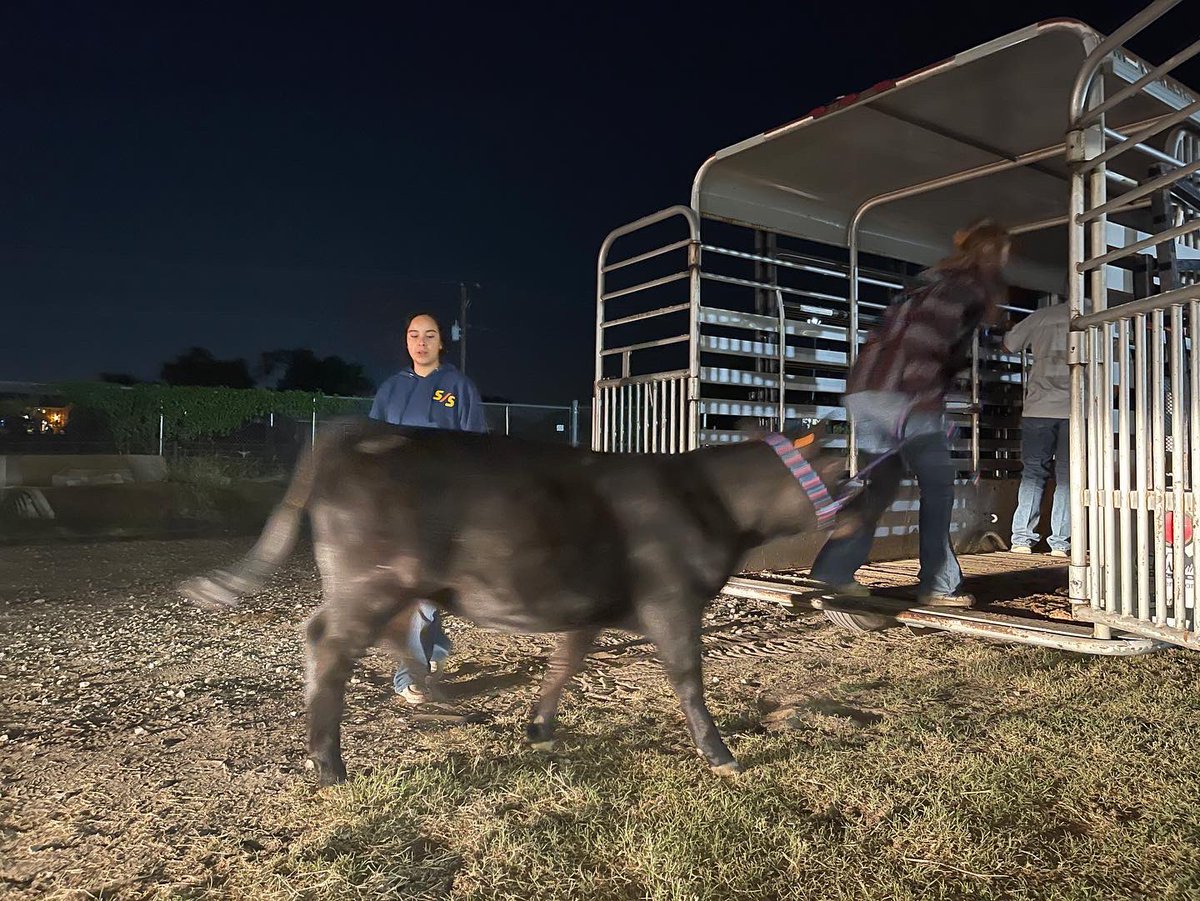 FWISD_CTE's tweet photo. โฐ๐
It was an early morning today for @heightsffa and @DHJEaglesFWISD FFA!
Parents, students and teachers loaded up shavings, feed and gear for their animals before sunrise. The teams are headed to Waco for the @HeartOTexasFair this week! ๐๐๐
#gspoc
#cteworks https://t.co/fDLDzLinNP