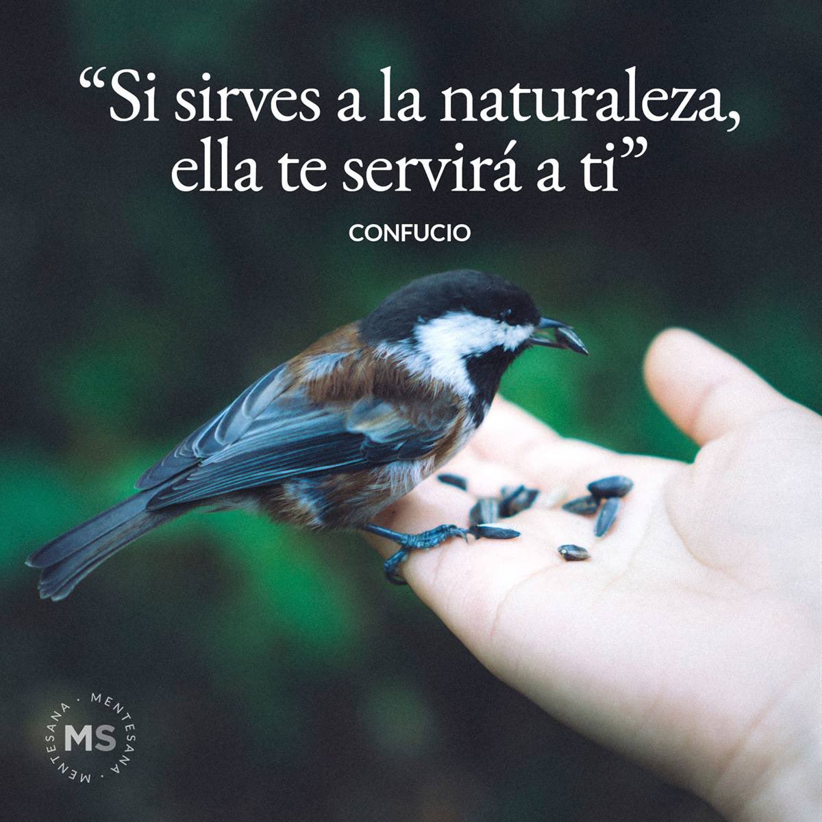 Cuida la naturaleza.