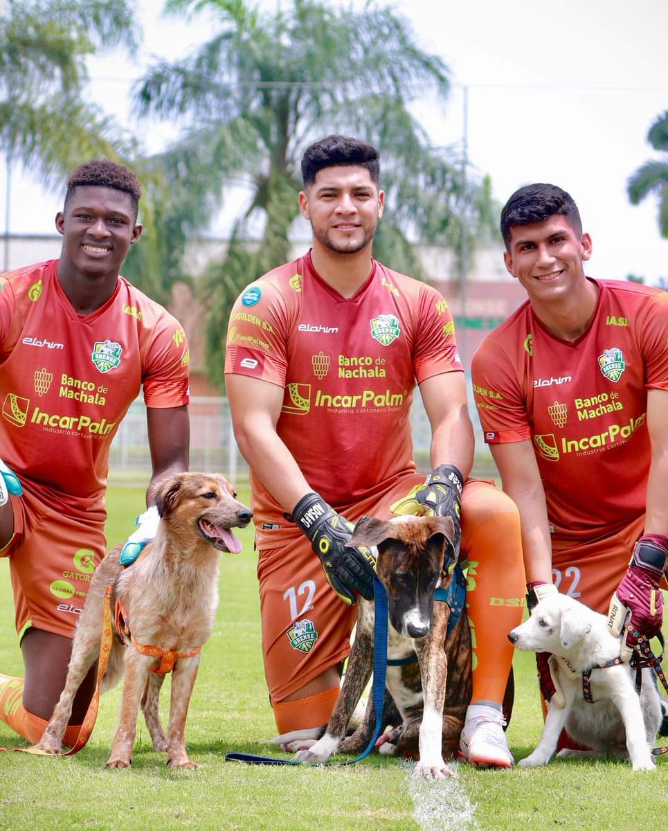 JosueNarvaez's tweet photo. Rolando Silva, fue expulsado en el encuentro ante #UCatolica, el portero fue sancionado con una fecha de suspensión. Para el encuentro de la fecha 13 ante #CSEmelec podrá ser considerado.

Por lo que Gilmar Napa(1) y Eduardo Suscal(22); estarán en la convocatoria, ante #DelfínSC https://t.co/lPPmOMOpeX