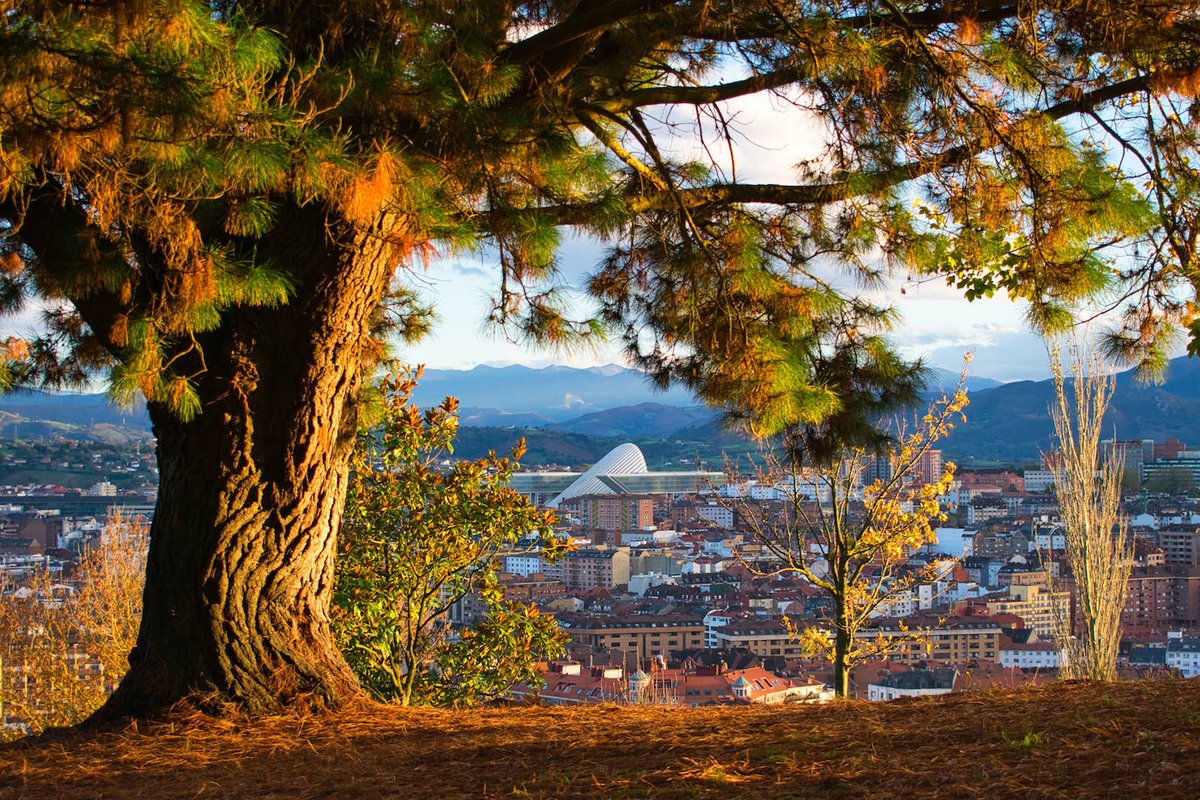 asturincoming's tweet photo. Fotografías que nos ha dejado este mes de septiembre.
1. Parque Natural de Somiedo (Fotolia)
2. Oviedo (Fotolia)
3. Lagos de Covadonga (Fotolia)
 #asturias #paraisonatural #otoño #turismo #oviedo #somiedo #covadonga #septiembre #gastronomia #asturiasengrupo #naturaleza https://t.co/I56z6aFisg