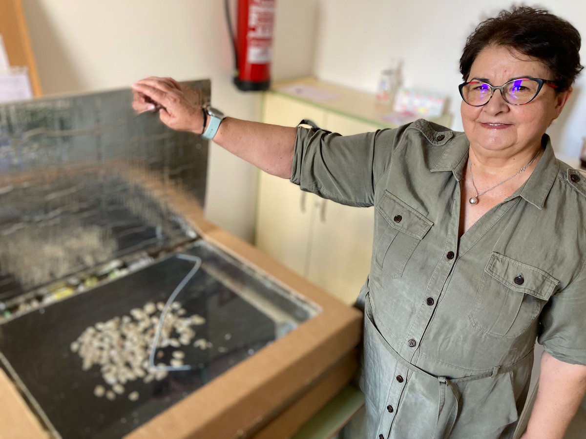 lunaticasrne's tweet photo. 🍳Loli, abuela del colegio que da clases de recetas:

"Hacemos comidas con el horno solar y almendras de la cooperativa del @cpalpartir. Lo que más valoro es la educación en emociones, lo veo en mis nietas"

👇
🔴DIRECTO https://t.co/zC71TkgNEd
▶️PODCAST https://t.co/Kze3Ps6rzl https://t.co/9JjfXOLNXR