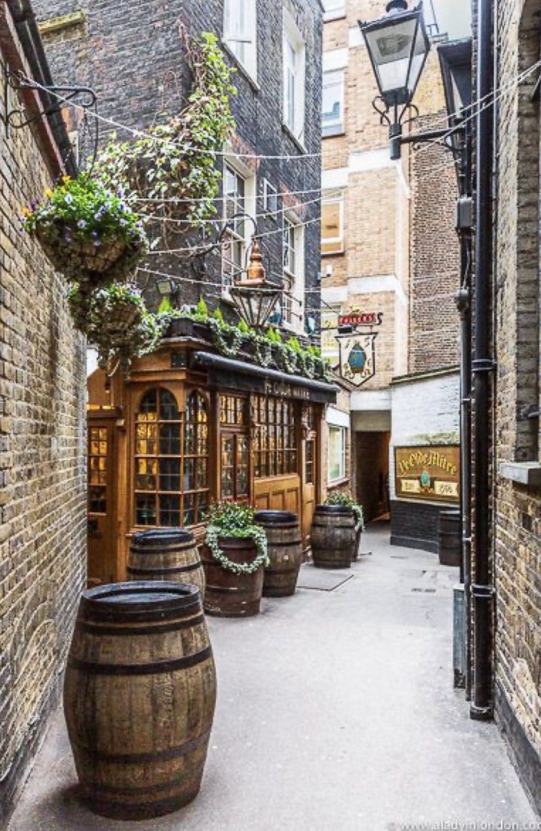 lyraskyer's tweet photo. off street

#offstreet #BACKSTREET #fun https://t.co/grtibvpC2u