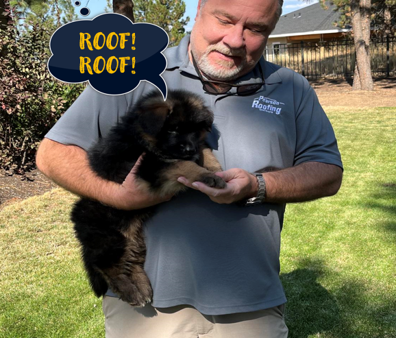 RoofingPearson's tweet photo. One of my favorite job perks: All the puppies I meet!
Schedule your free roof inspection at 972-471-2700 or https://t.co/KtB06JWADy, (even if you donโt have a dog). #roofroof #mansbestfriend #bestrooferindentoncounty #flowermound #lewisville #dallas #plano #freeinspection https://t.co/2V4oC2hXWu
