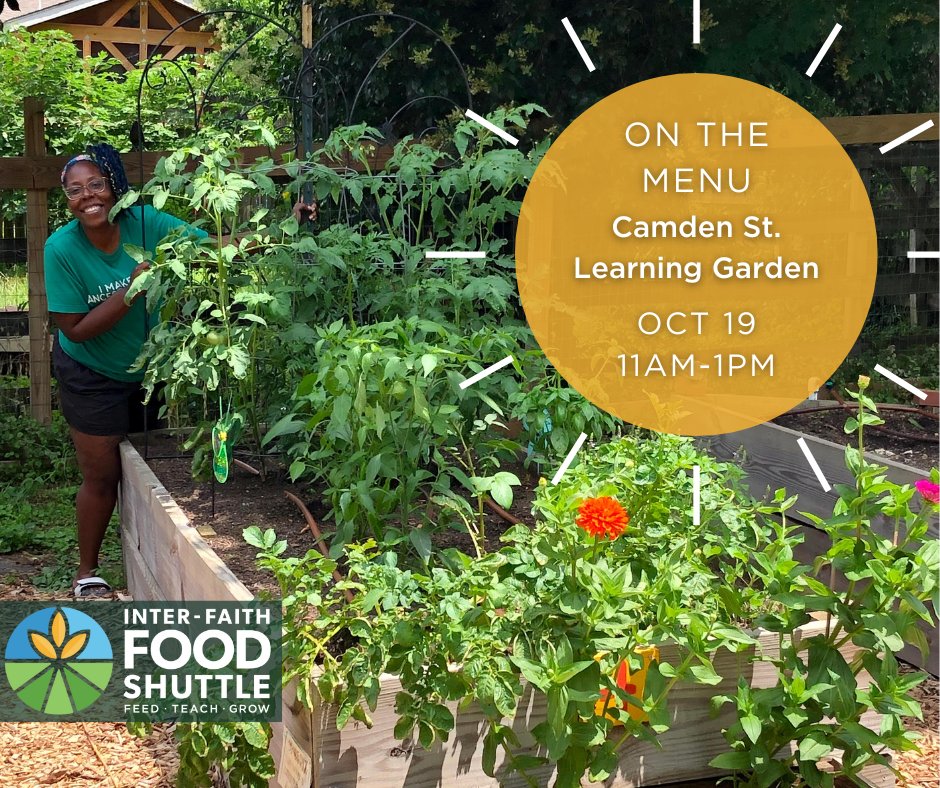 FoodShuttle's tweet photo. Coming right up! Presenting another installment of our  *𝓞𝓷 𝓽𝓱𝓮 𝓜𝓮𝓷𝓾* series Wednesday 10/19 at 11am - enjoy a delicious salad followed by a tour 🥕 Sign up for this awesome free event here➡ https://t.co/FeMCFmb7He

#FeedTeachGrow #FoodShuttle #OakCity #RaleighNC https://t.co/LDW2nz3usc