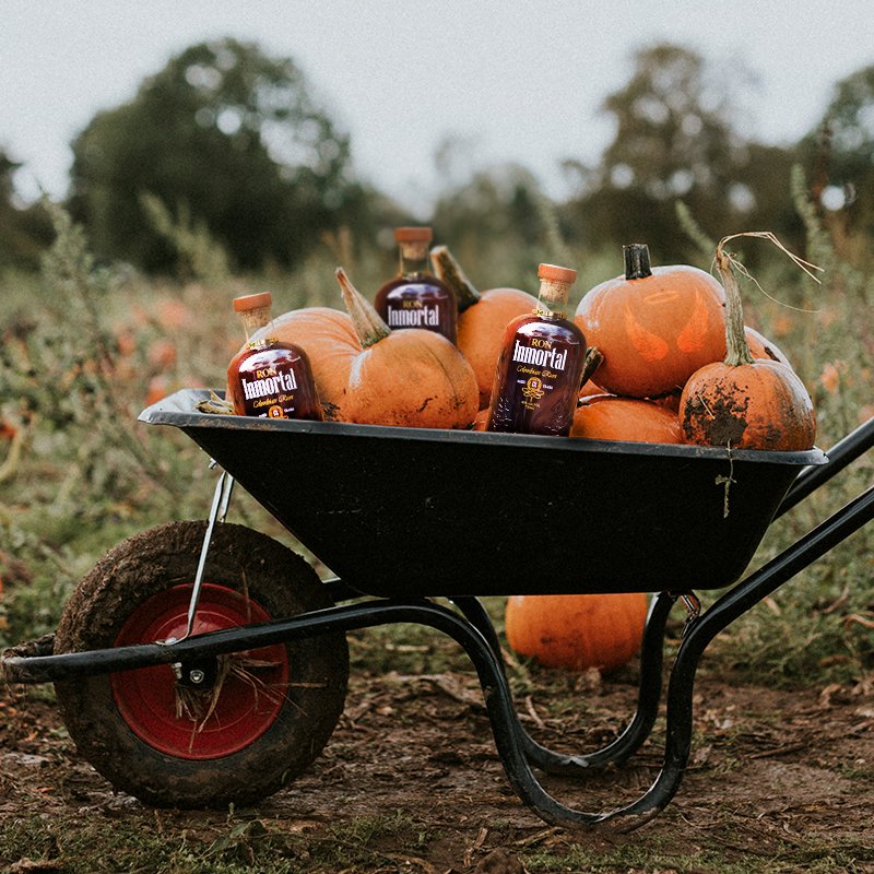 The rum you want to be sipping this fall. 🍂 Who’s excited for the cool weather? 

To order online or learn more about #RonInmortal click here ➡️ roninmortal.com #EverlastingSpirit 

#FallSeasons #ColombianRum #RonColombiano #HandCraftedRum #RumOfTheDay