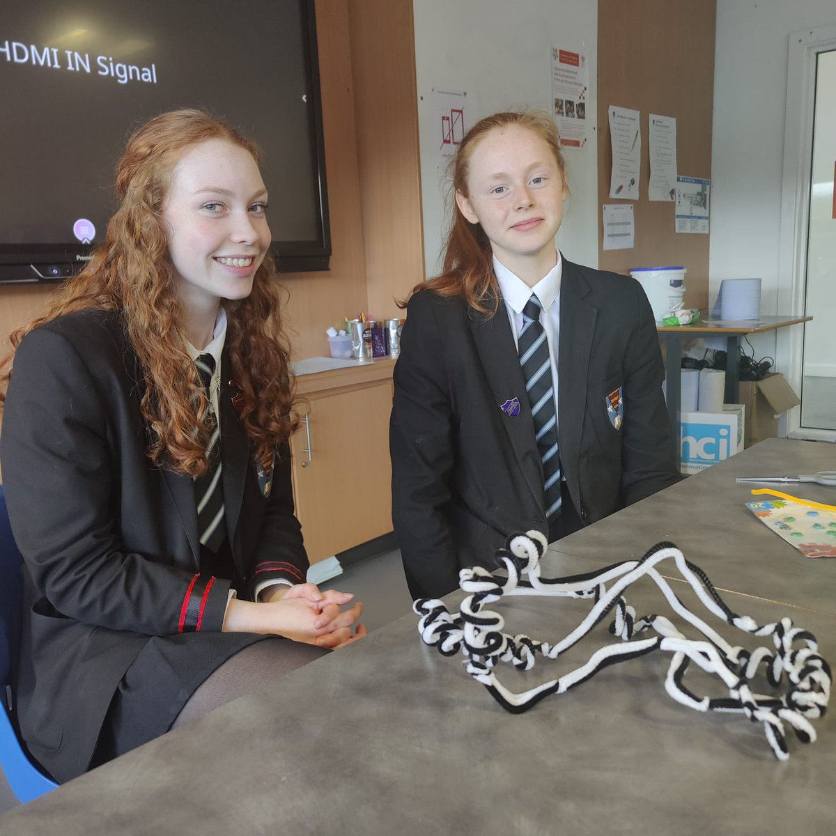 CrieffHighSci's tweet image. Advanced Higher Biology students were challenged to build models showing the 4 levels of protein structure-we think they’ve done a great job! #cellsandproteins #creativityinscience #successfullearners