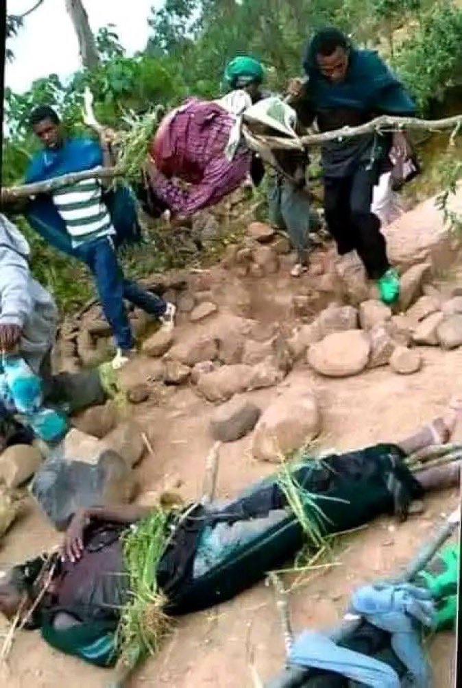 SelassieI24's tweet photo. The Ongoing #AmharaGenocide in Oromia is normalized.
The death of #Amhara has become mere statistics.
While still mourning Z genocide of several hundreds in #June, #August & #Sept, here we are again with more than 200 #Amhara souls slaughtered in three days. #AmharaGenocide https://t.co/iF7VnfiMx4
