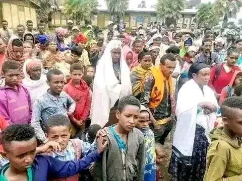 SelassieI24's tweet photo. The Ongoing #AmharaGenocide in Oromia is normalized.
The death of #Amhara has become mere statistics.
While still mourning Z genocide of several hundreds in #June, #August & #Sept, here we are again with more than 200 #Amhara souls slaughtered in three days. #AmharaGenocide https://t.co/iF7VnfiMx4
