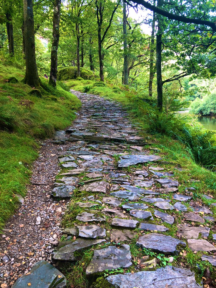 benjwilliams_'s tweet photo. Last week in writing R&amp;D I went walking in Borrowdale in the Lake District (first time!) and found an actual fantasy woodland. https://t.co/7cuAfy54L8