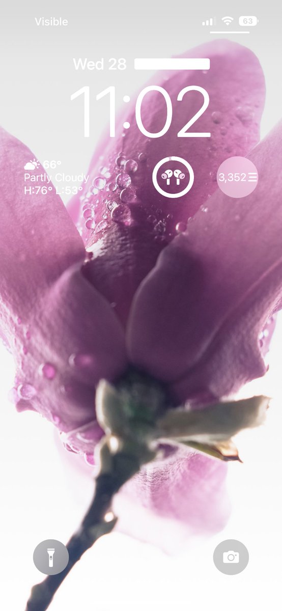 nrylanb's tweet photo. @flexibits hi, your iOS 16 widget was working and now I get a white box. Do you know what the issue is? https://t.co/eY31KMgefw