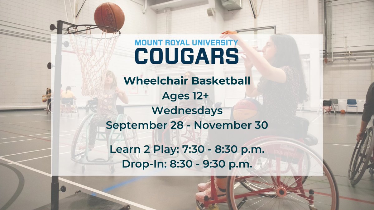 YYCAdaptedHub's tweet photo. Check your inbox  ✉️  for our latest newsletter for full details on these fall programs ▶️ (swipe the pics)

Haven't signed up for our newsletter? Do it now! https://t.co/EtJd6uOkHT
@SportCalgary @ChildrensLink @VivoYourLife @mountroyal4u @WSA_Alberta @aafscalgary @AresPentathlon https://t.co/mpFqyzOio1