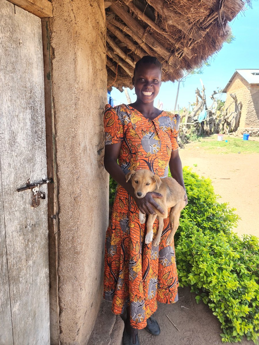 AniaCzupryna's tweet photo. Today is #WorldRabiesDay and we celebrate the incredible work being done across the globe to eliminate deaths due to #rabies, such as vaccinating domestic #dogs.  #vaccinatetoeliminate #TimesUpForRabies @emergence_MAH #Rabies360Challenge @rabidbites @UofG_SBOHVM @hampson_katie https://t.co/jtATgWakdx