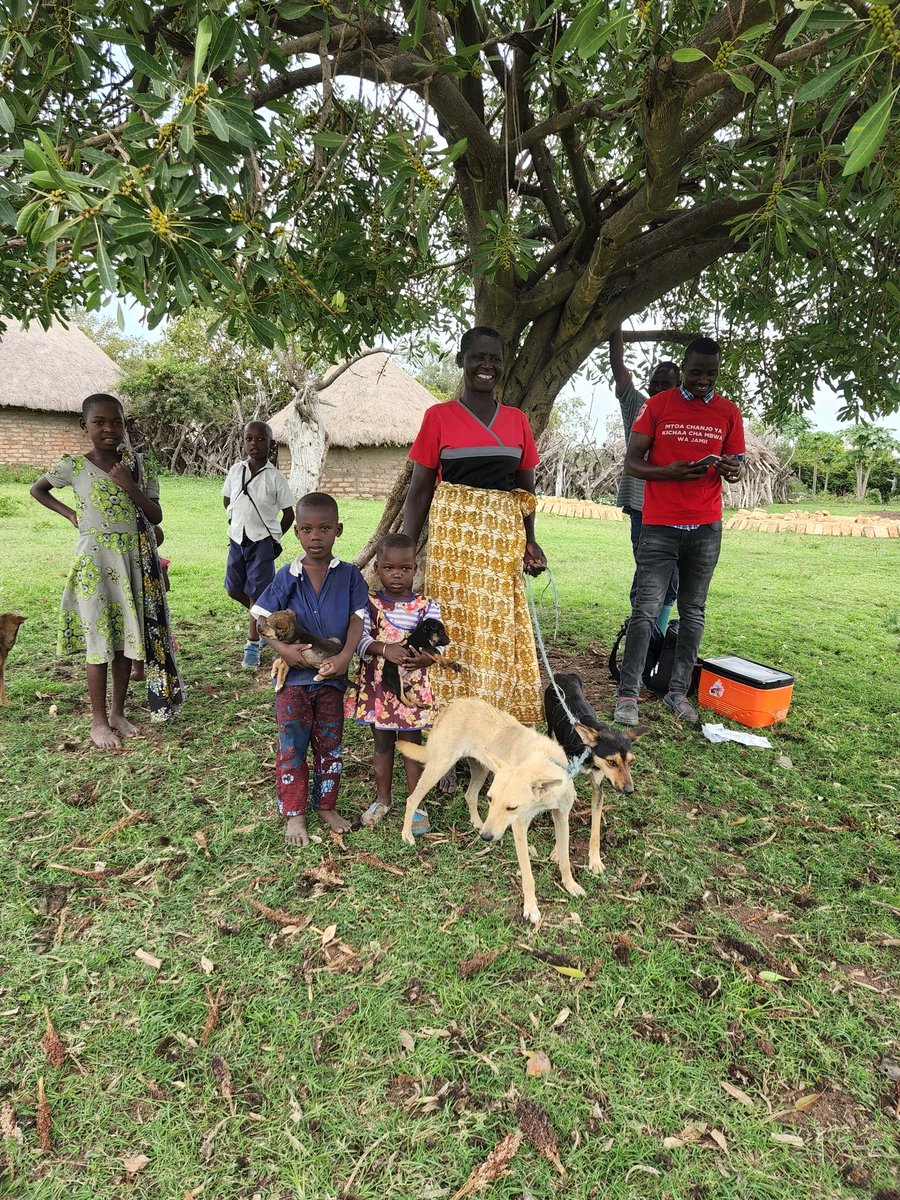 AniaCzupryna's tweet photo. Today is #WorldRabiesDay and we celebrate the incredible work being done across the globe to eliminate deaths due to #rabies, such as vaccinating domestic #dogs.  #vaccinatetoeliminate #TimesUpForRabies @emergence_MAH #Rabies360Challenge @rabidbites @UofG_SBOHVM @hampson_katie https://t.co/jtATgWakdx