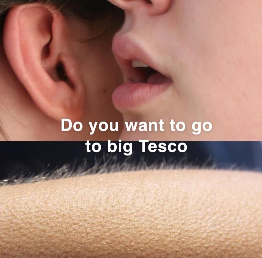 Patient Swim tweet media