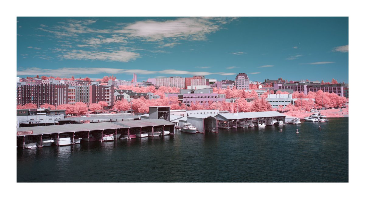 olhausenphoto's tweet photo. Seattle #infrared #infraredphotography #infraredphoto #infrared_images #infraredimage #infraredimages #invisiblelight #infrared_global #infrared_photography #canonphotography #eos #canonphoto #canoneos https://t.co/U9Jtie6cTB