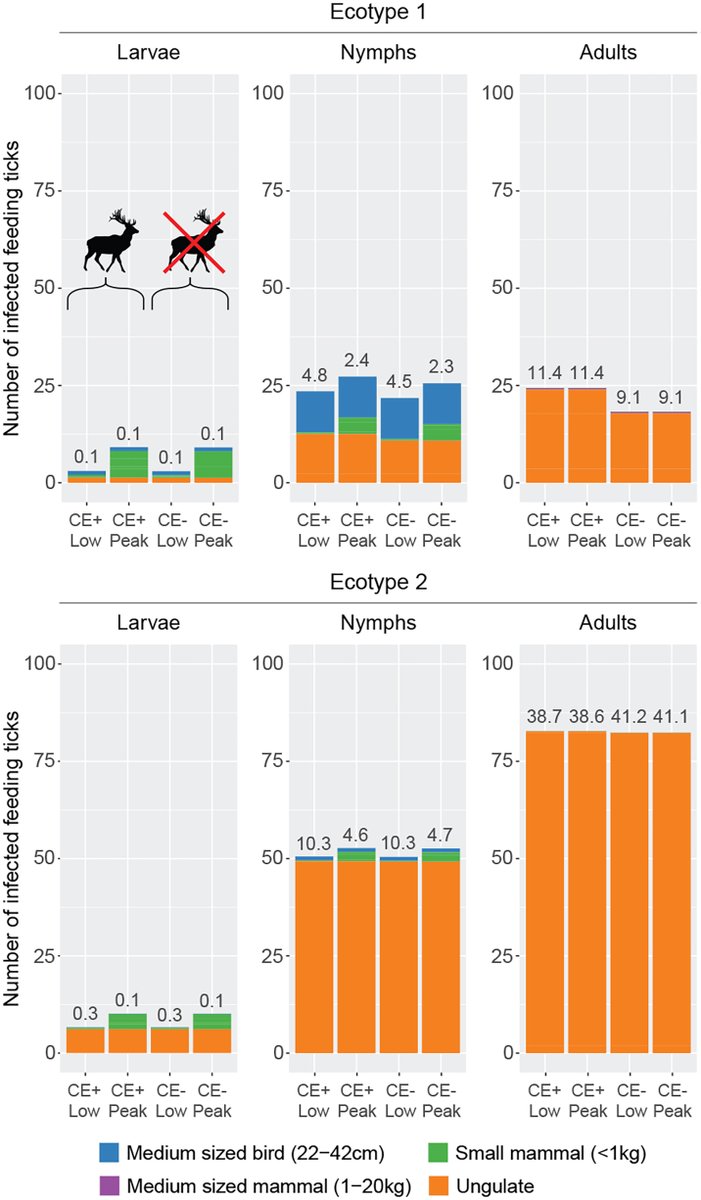 Ecosphere (@esaecosphere) on Twitter photo From our #DiseaseEcology track:
A new #MetaAnalysis shows how the local assemblage of mammalian hosts can shape #Anaplasma transmission
doi.org/10.1002/ecs2.4…
#Ticks #TBP #Transmission #OpenAccess <a href="/FabriNannet/">Nannet Fabri</a> @heinsprong <a href="/TimHofmeester/">Tim R. Hofmeester🐾📷🎶</a> <a href="/JorisCromsigt/">Joris Cromsigt</a> <a href="/SLUwildresearch/">SLU Wild Research</a> From our #DiseaseEcology track:
A new #MetaAnalysis shows how the local assemblage of mammalian hosts can shape #Anaplasma transmission
doi.org/10.1002/ecs2.4…
#Ticks #TBP #Transmission #OpenAccess <a href="/FabriNannet/">Nannet Fabri</a> @heinsprong <a href="/TimHofmeester/">Tim R. Hofmeester🐾📷🎶</a> <a href="/JorisCromsigt/">Joris Cromsigt</a> <a href="/SLUwildresearch/">SLU Wild Research</a>