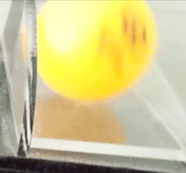 Andrew Panton tweet media