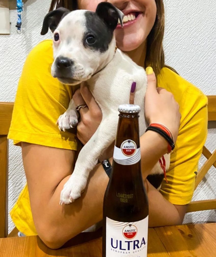 DrChica0's tweet photo. #DescubrirLoIncomparable no hay mejor ni peor persona, solo tiempos diferentes @amstelultra 🍺 https://t.co/ReHOXFBzWB