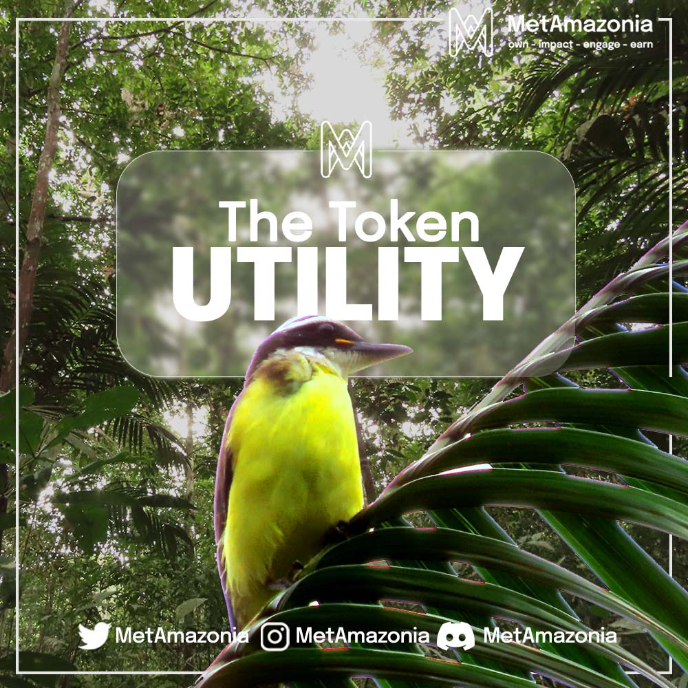 metamazonia's tweet photo. In #MetAmazonia, Tokens are tailored to the needs of the project enabling smoother ecosystem operations🪙

It allows our ecosystem to work &amp; provide the users access to #metaverse🔥

It helps with👇

In-game transactions
Priority for #NFTs
#NFT trading, revenue sharing &amp; staking https://t.co/rIJpOd0iId