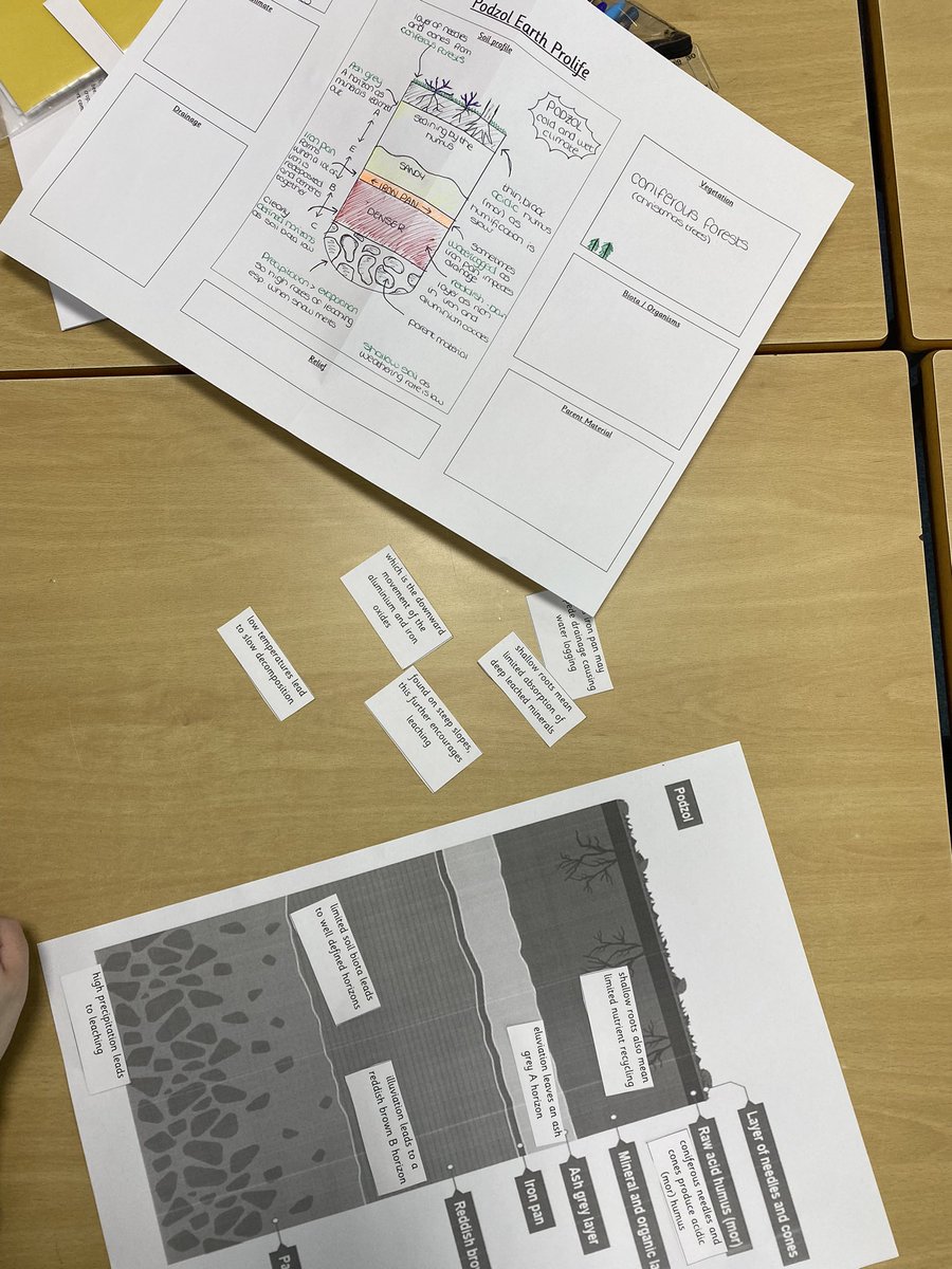 Higher Geography were playing pin the tail on the podzol today. Statements were placed on the correct part of the soil profile using the marking scheme. Massive help from <a href="/MrsKerrGeo/">Mrs Kerr</a> revision resource 📝🌲🍃